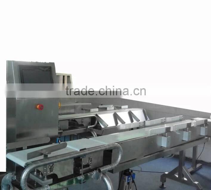 product line conveyor check weigher machine