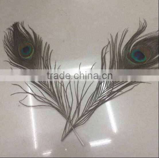 Peacock Eye Tail Feather For Accessory DIY Masquerade Decoration Party Dress