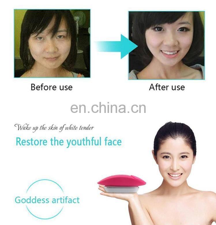 The Newest Deep Pore Facial Cleansing Brush for Personal Home Use