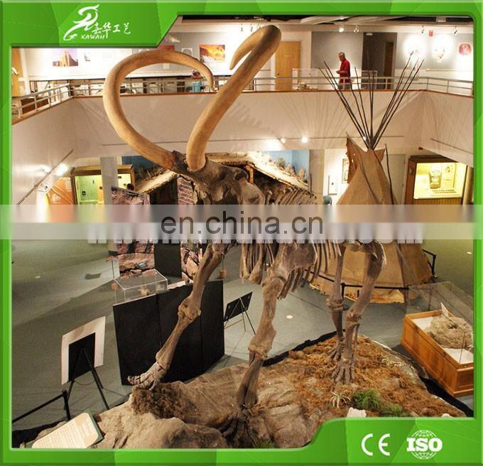 KAWAH China Supplier Real Animal Skull Replica Museum Artificial Lifelike Mammoth Fossil For Sale