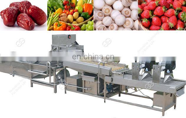 Commercial Ozone Fruit Cleaner Vegetable Washing Machine Manufacturer In India
