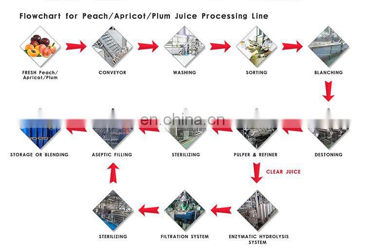 Industrial carrot juice extractor sugar cane extractor processing machine