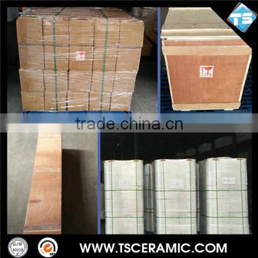 Low Thermal Expansion Cofficient Aluminum Titanate Riser Tube for Industrial Application