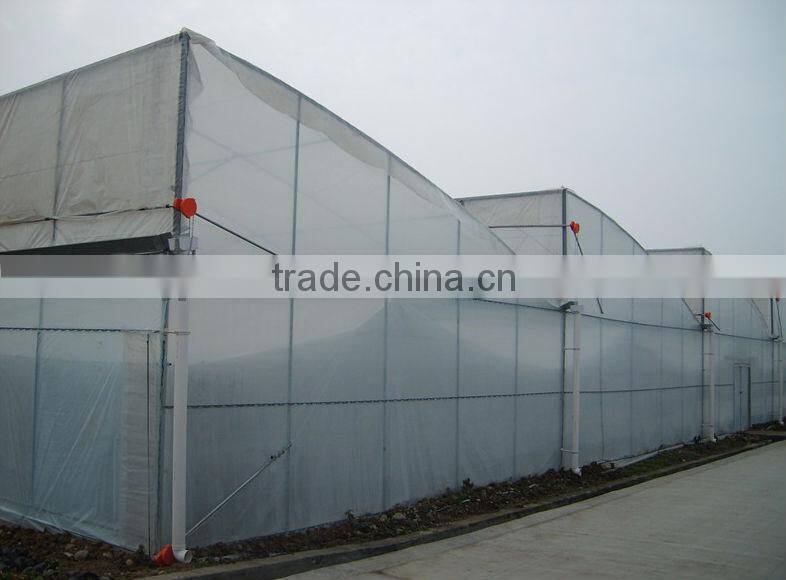 Gutter Connected Greenhouse