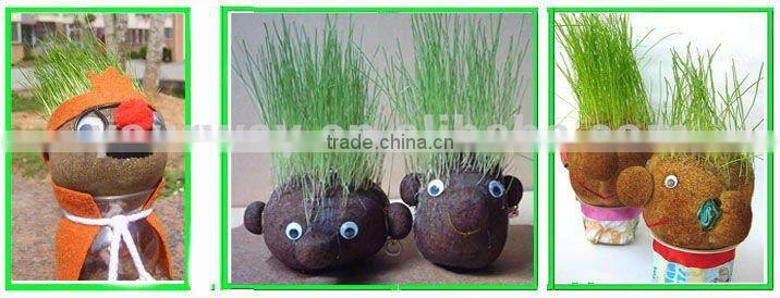 Real grass doll,Grass head