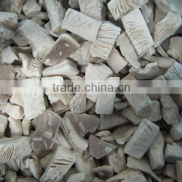 High Quality Oyster Mushroom