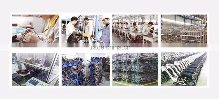 top quality 500w-1000w electric motor conversion kit