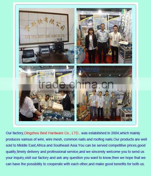 9gauge galvanized umbrella head ring shank roofing nail