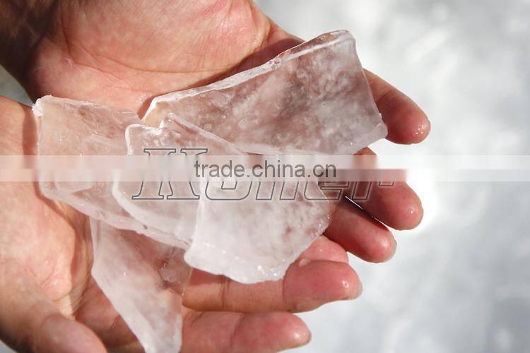 Plate Ice Machine for Fishery and seafood--5000kg per day