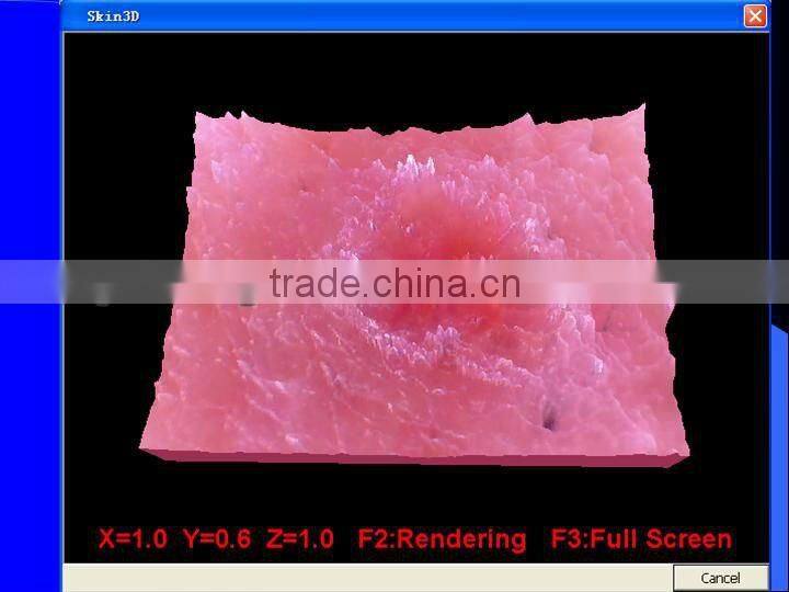 Touch screen auto facial skin scanner analyzer 2013 new beauty machine BD-P006