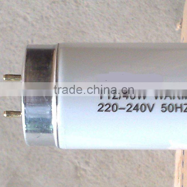 T12 fluorescent lamp