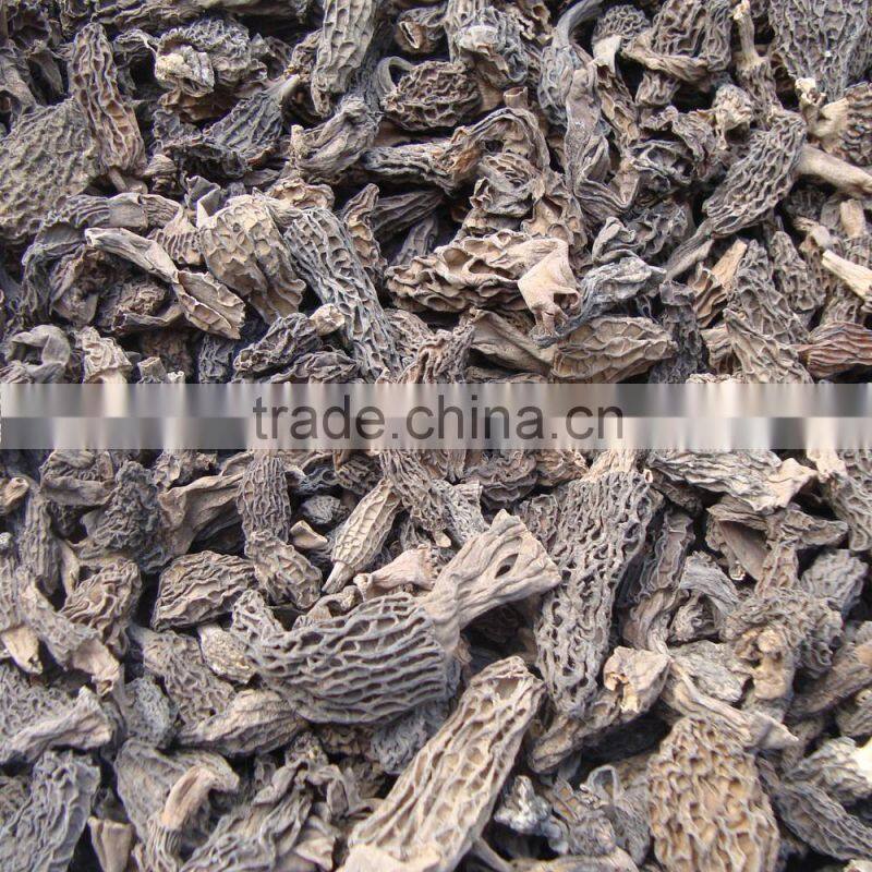 2015 New Dried Black Morel Mushroom/ Honeycomb Morel