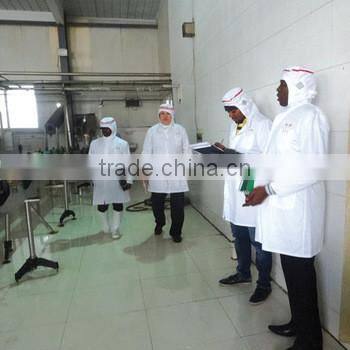 sachet tomato paste sachet tomato sauce sachet tomato ketchup sachet tomato puree