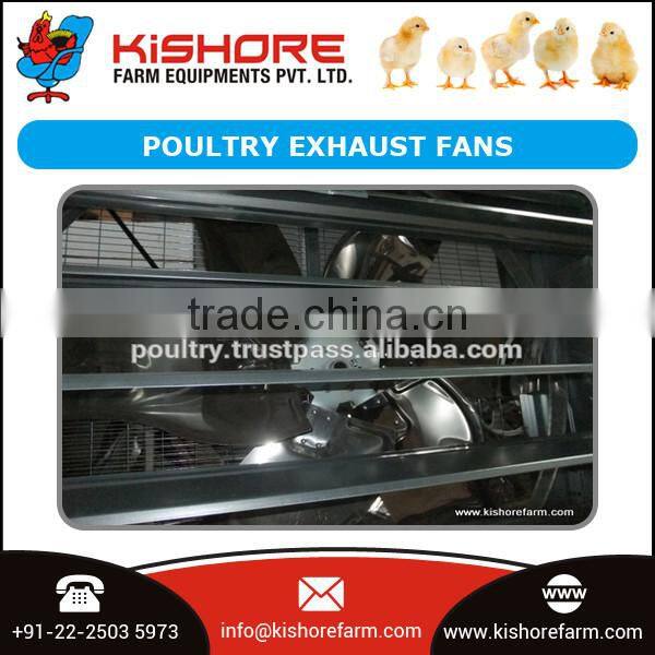 Hot Selling Professional Automatic Poultry Broiler Farm Equipments