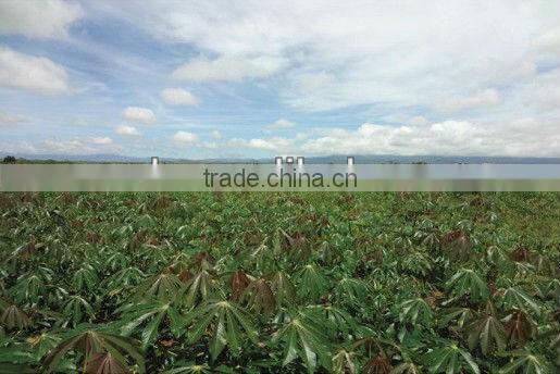 Hot sale cassava harvester, cassava harvesting machine for sale