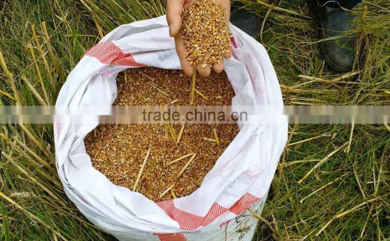 Crawler type mini grain harvester with driver seat