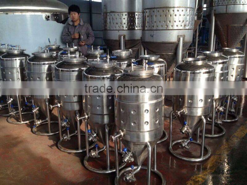 100l fermenter