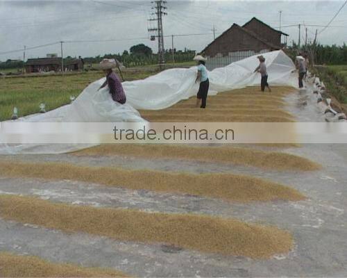 ECO-friendly Colorful PP Spunbond Nonwoven