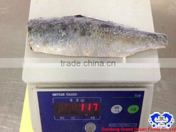 herring frozen seafood