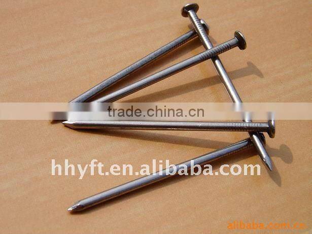 factory on hot sale manufacturer common wire nail common nail on hot sale