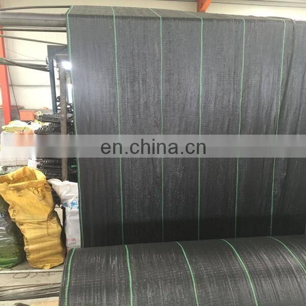 Greenhouse Plastic Film Ground Cover Weed Mat