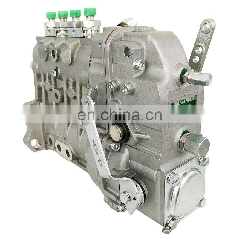 F4L912-D Engine Injection pump 40KW with BYC No. 10 400 874 060 10400874060