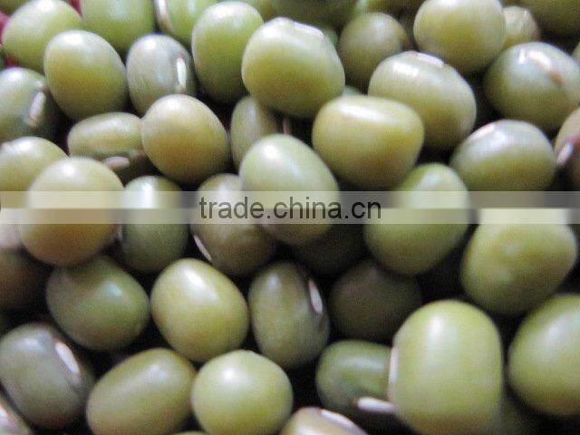 Organic green mung bean