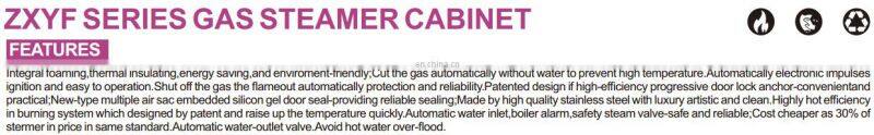 Flameout automatically protection commercial restaurant gas steamer cabinet