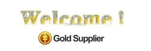 vertical lifting platform (single mast platform)