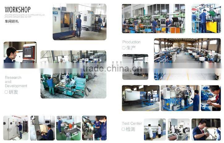 PTFE rotary seals (BRS)