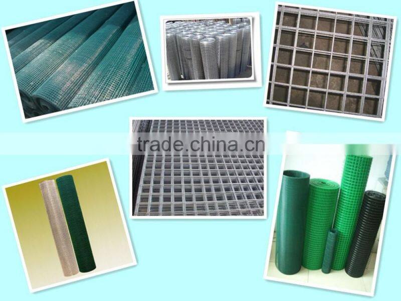 Cheap galvanized welded wire mesh for bird cage, rabbit cage, animal cage