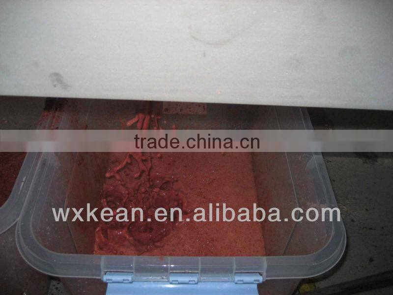 Hot sale automatic fruit and vegetable beating machine