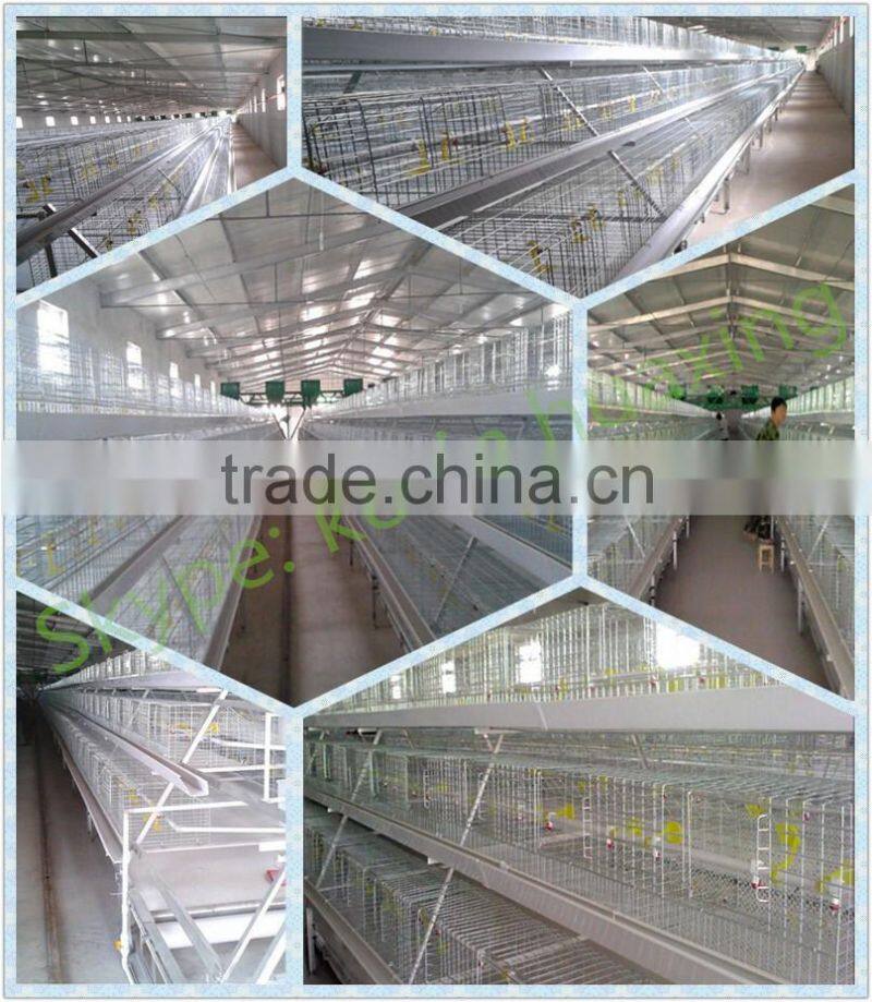 broiler battery cages with automatic system