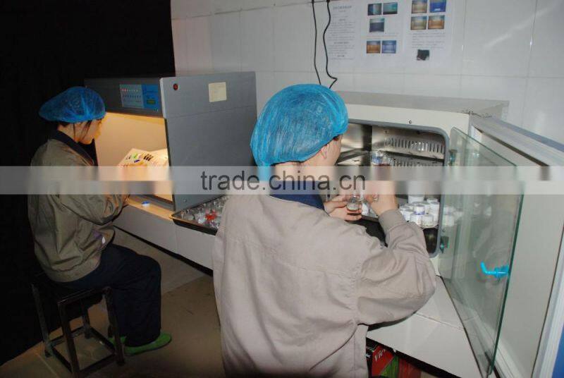 Camoufalge Builder UV Gel Extension Nail Gel