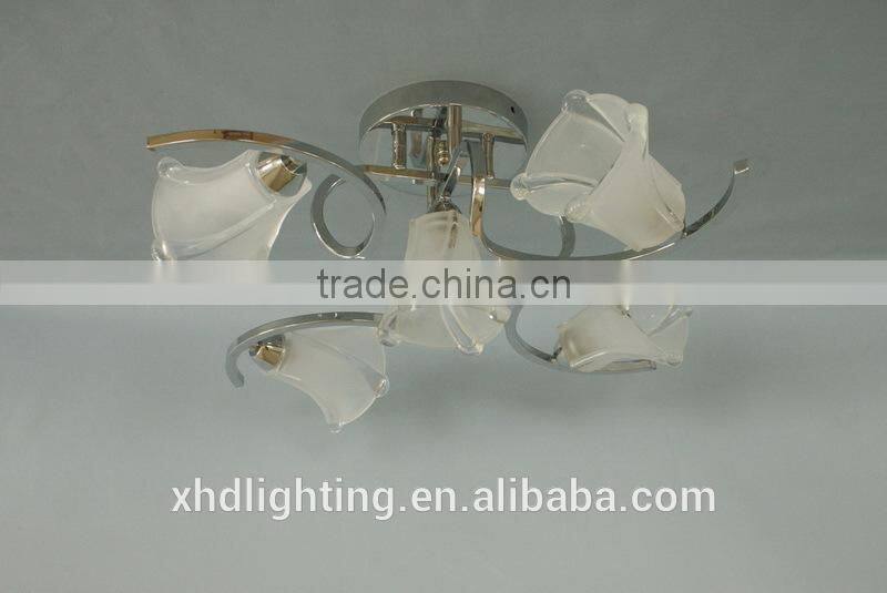 XHD Lighting modern delicate ceiling lamp for indoor decoration