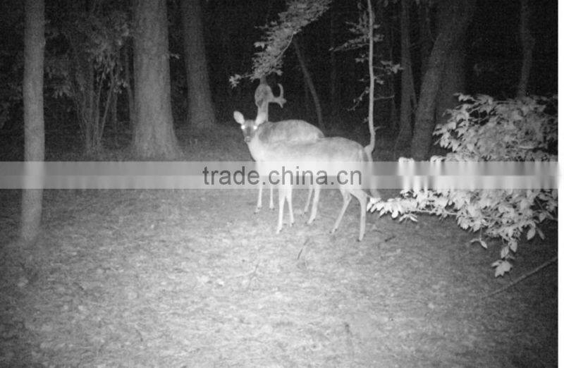 Waterproof Mini Hunting Camera with EMAIL/SMS Communication via GPRS (HF-CT02)