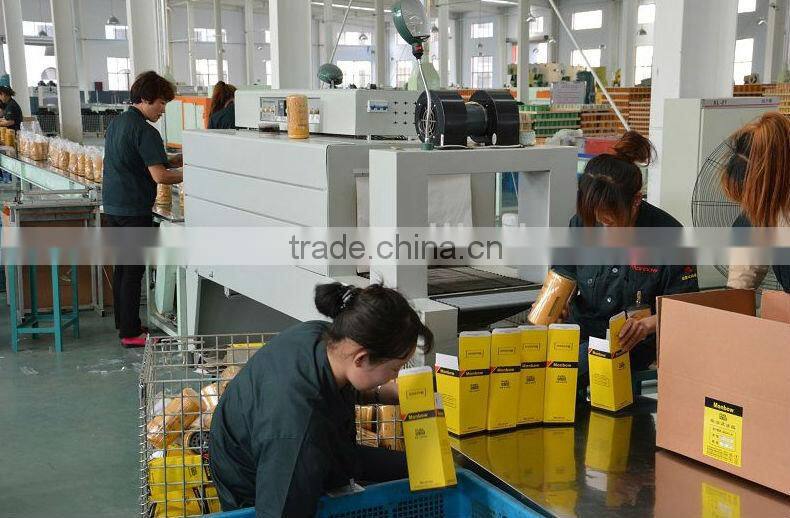 CHINESE FLEETGUARD SPIN-ON FILTER