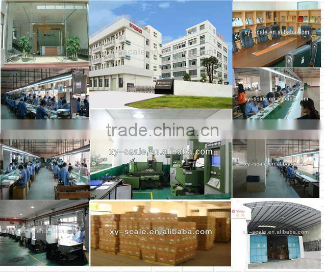 2014 Digital Body Fat analyzer weight scale (XY-6075)