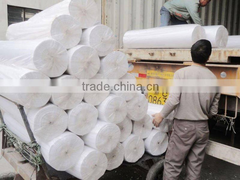 Garment Interlining (nonwoven interlining , nonwoven fabric)
