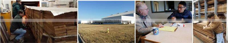 DX-12.0III-DX Alibaba Warranted Trade Assurance HF vacuum wood drying equipment