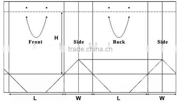 Custom paper supermarket shopping bag