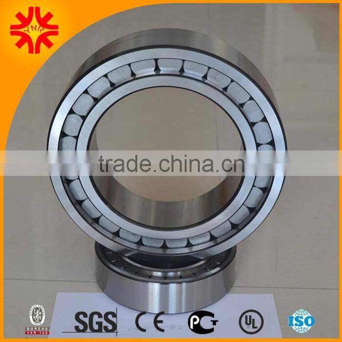 Double Row Full complement Cylindrical Roller Bearing SL014934
