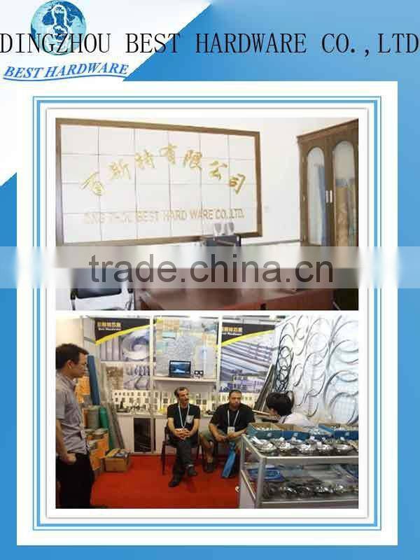 low price galvanizaed roofing nail with umbrella head