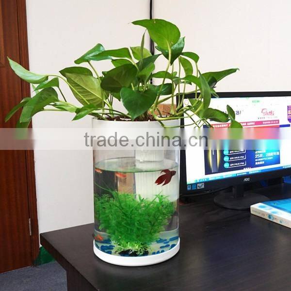 Fashionable personlized high transparent acrylic fish tank with light factory wholesale