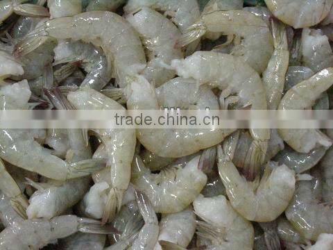 frozen white shrimp