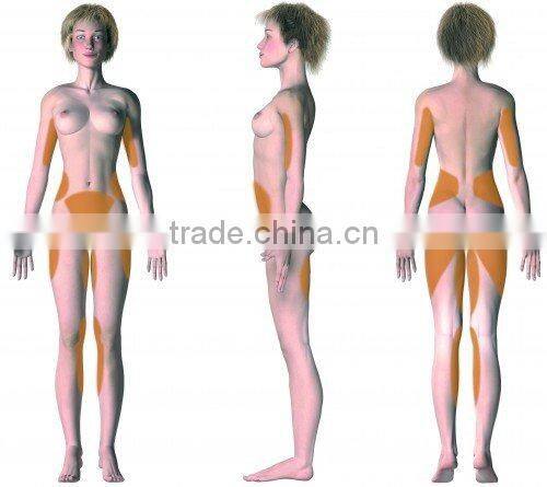 Lipo Cavitation Vacuum Slim Belly