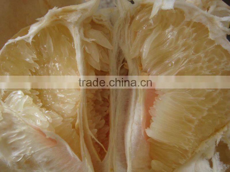 Honey Homelo Fruit From China