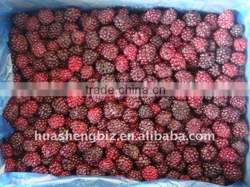BRC,KOSHER,HALAL IQF blackberry