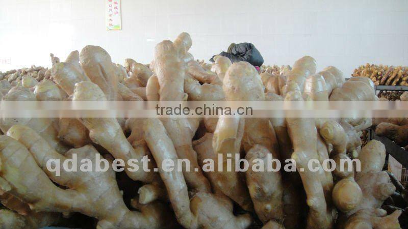 Fresh air dried ginger
