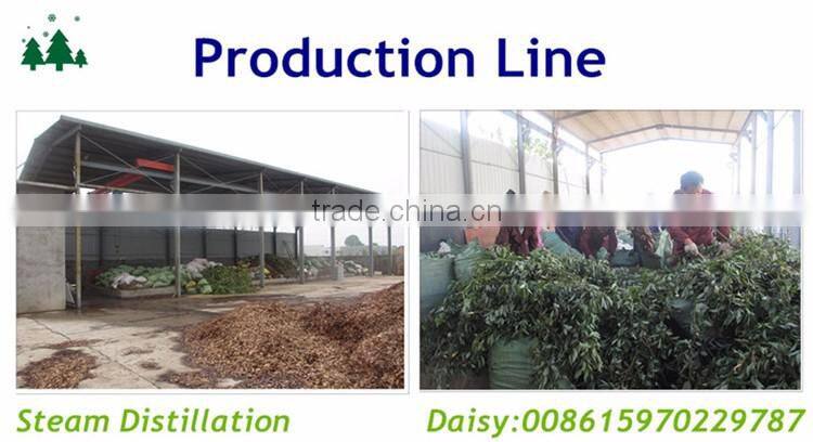 100% Natural and Pure Levo Menthol From Profession Manufactory